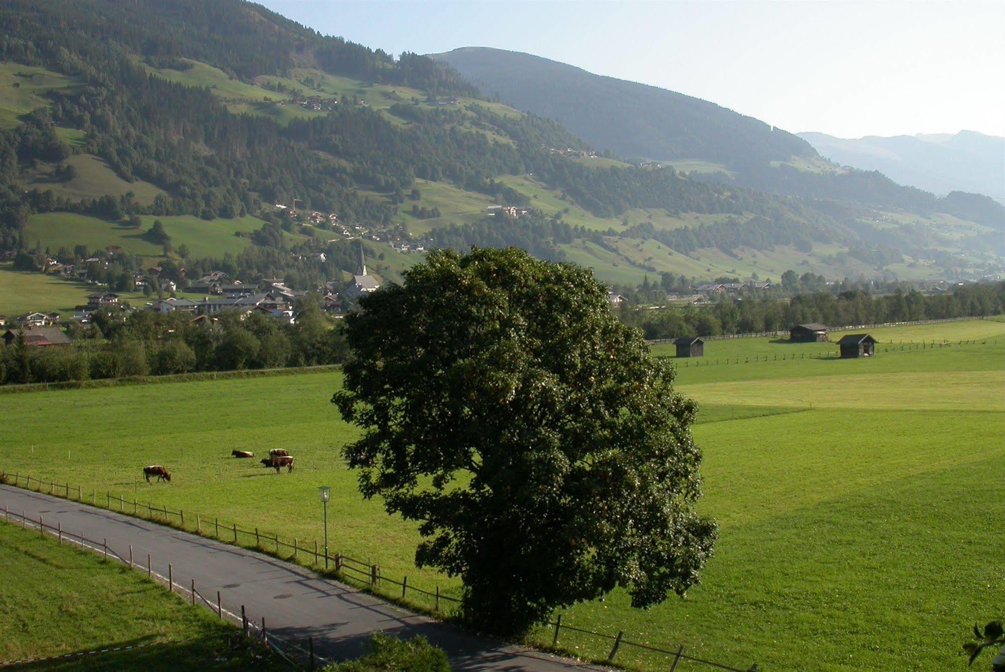 Pension Kristall Bramberg am Wildkogel Esterno foto